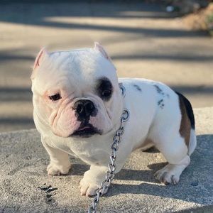 Meet your Posher, Alejandra